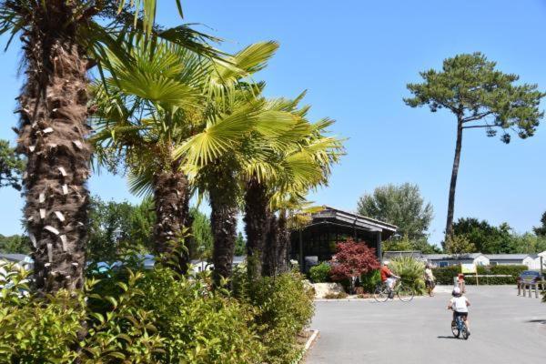 Mobil Home Xxl - Bord Lac - Camping Les Viviers - Lege Cap Ferret Екстер'єр фото
